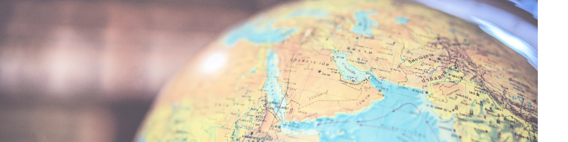 Shutterstock 555003484 (1)