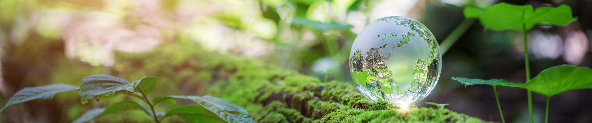 Shutterstock 2204235075